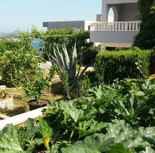 Jole Apartman Razanj